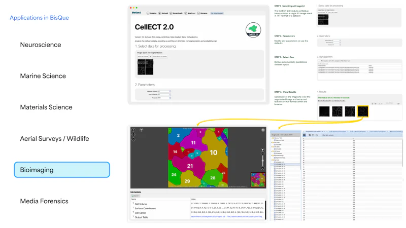 BisQue workshop slide showing CellECT bioimaging segmentation and output tables.