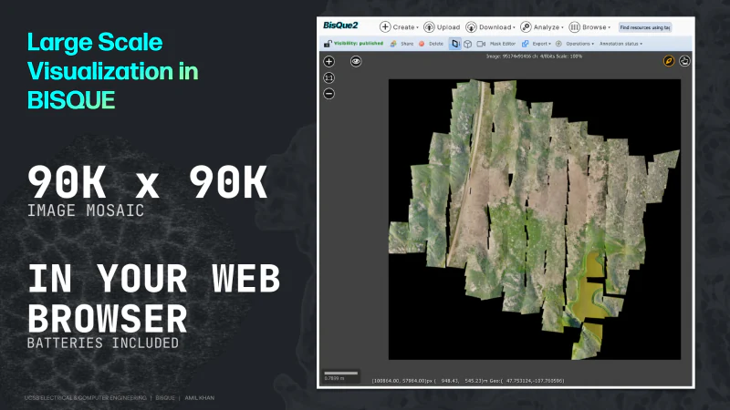 BisQue workshop slide showing a 90K by 90K image mosaic visualized inside a web browser.