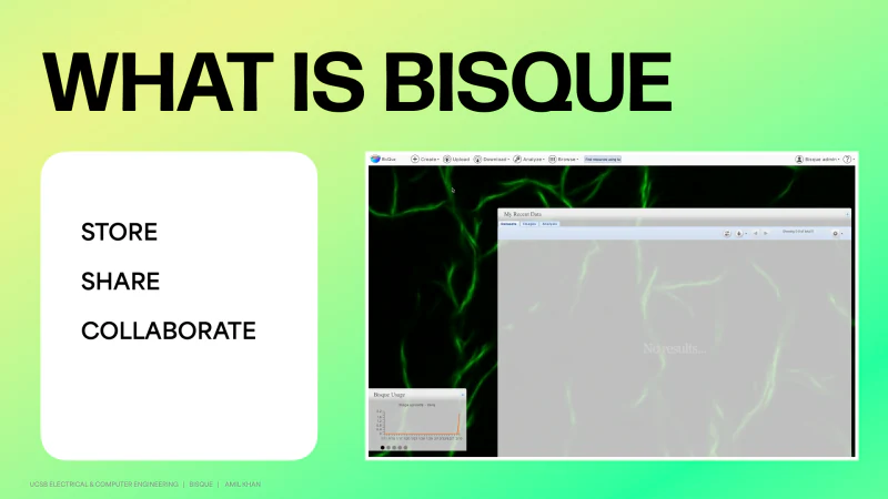 BisQue workshop slide showing store, share, and collaborate next to the BisQue browser interface.
