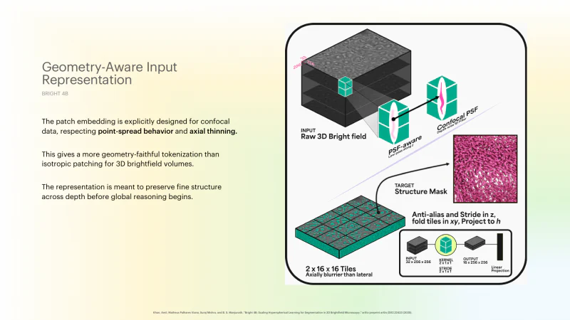Bright 4B geometry-aware input representation slide with PSF-aware 3D patching.