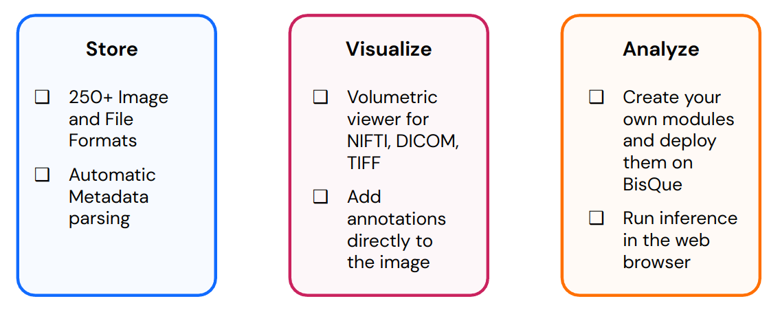 BisQue interface overview from the official documentation.